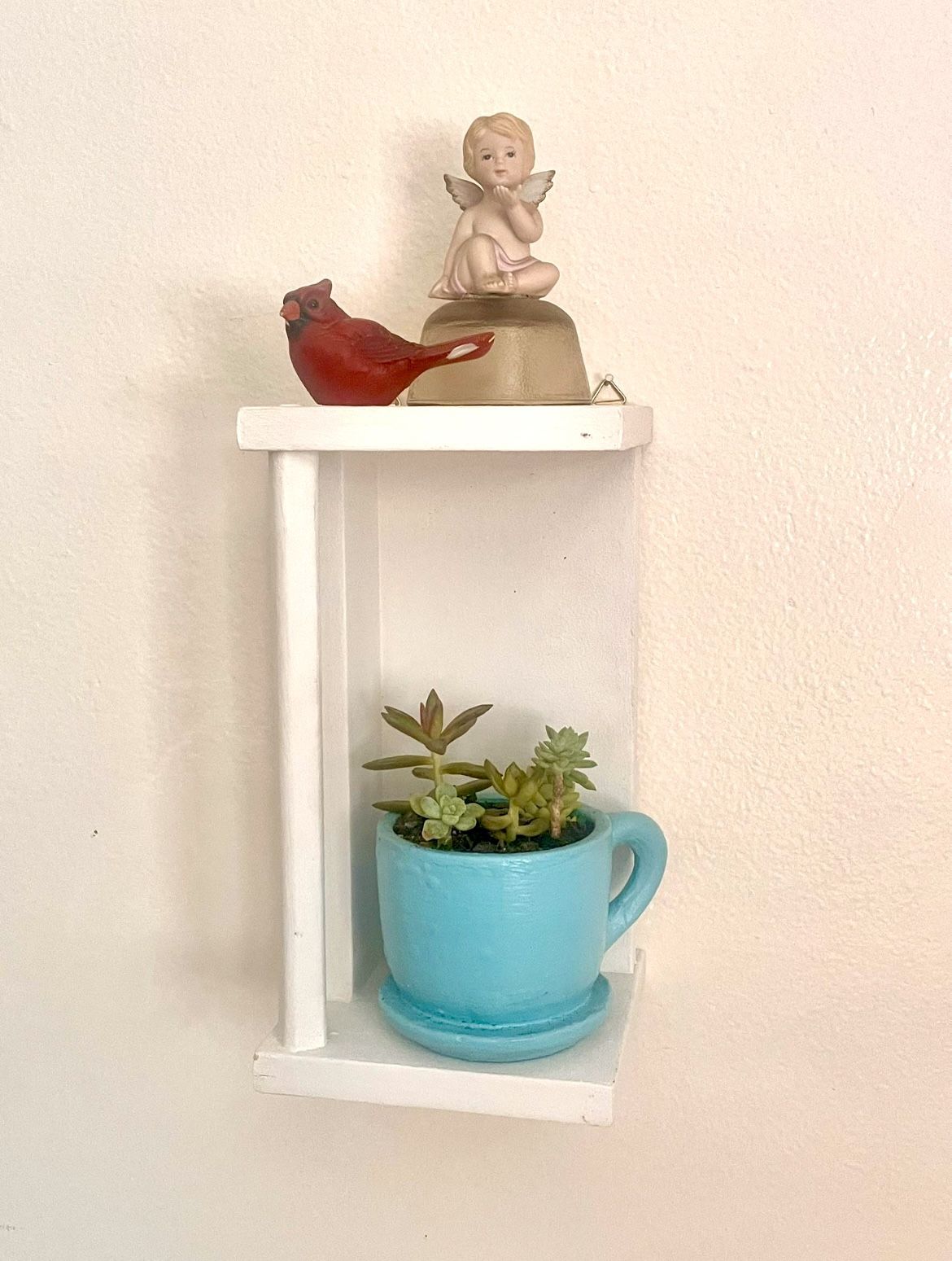 Shelf with Natural Succulents