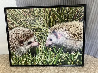 Hedgehog Print