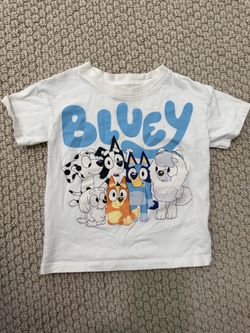 Boys toddler clothing 2T- 3T
