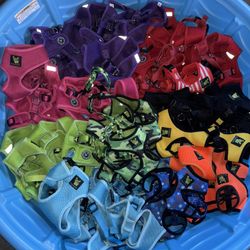 PET Harnesses 