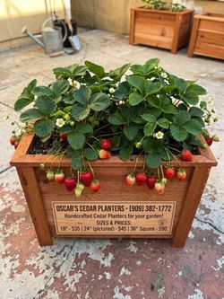 Handcrafted Planters