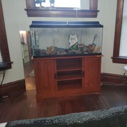 75 Gal Aquarium With Stand And Accessories.
