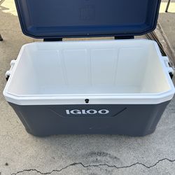 Igloo Cooler