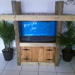 55 Gallon Aquarium With Stand, Filters and Pumps 