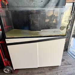 91 Gallons Red Sea Tank 