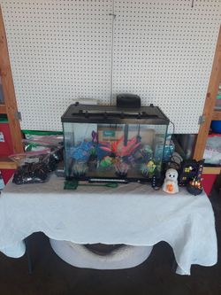 Aquarium