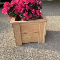 Flower Accent Planter