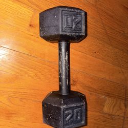 20 Lb Dumbbell 