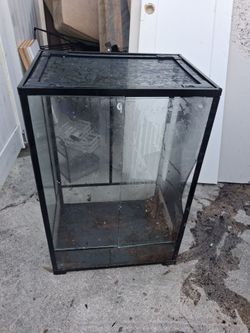Lizard Cage