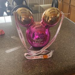Disneyland Magic Key With Linear