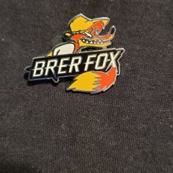 Disneyland*** Splash Mountain ****Brer Fox Rare Disney Pin Discontinued
