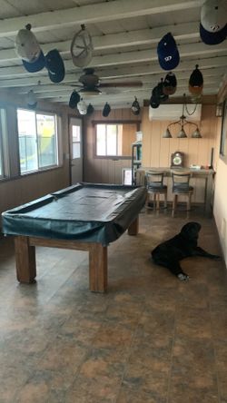 Wanted pinball machine