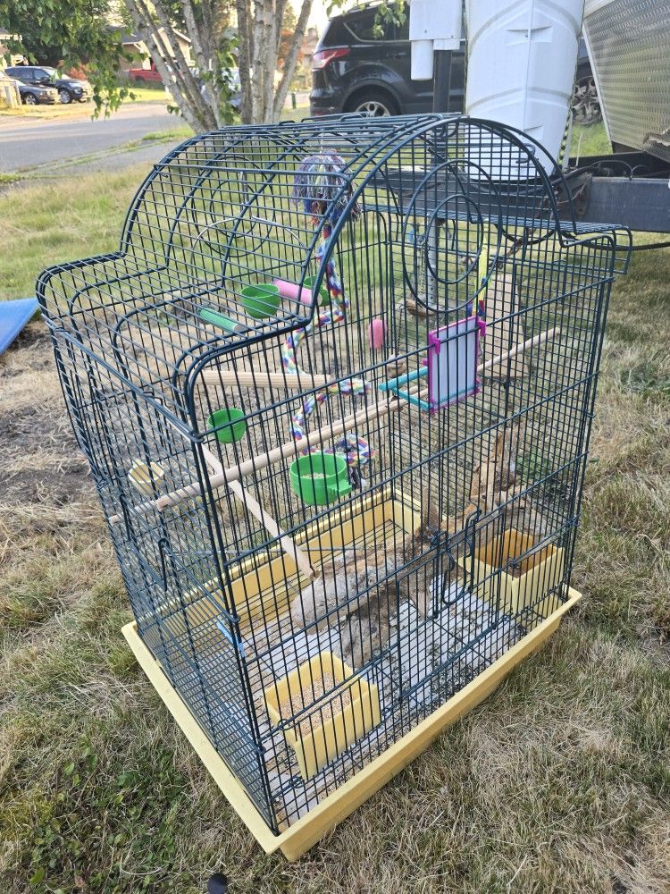 Free Bird Cage