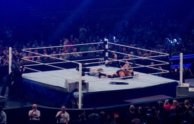 WWE Summer Tour