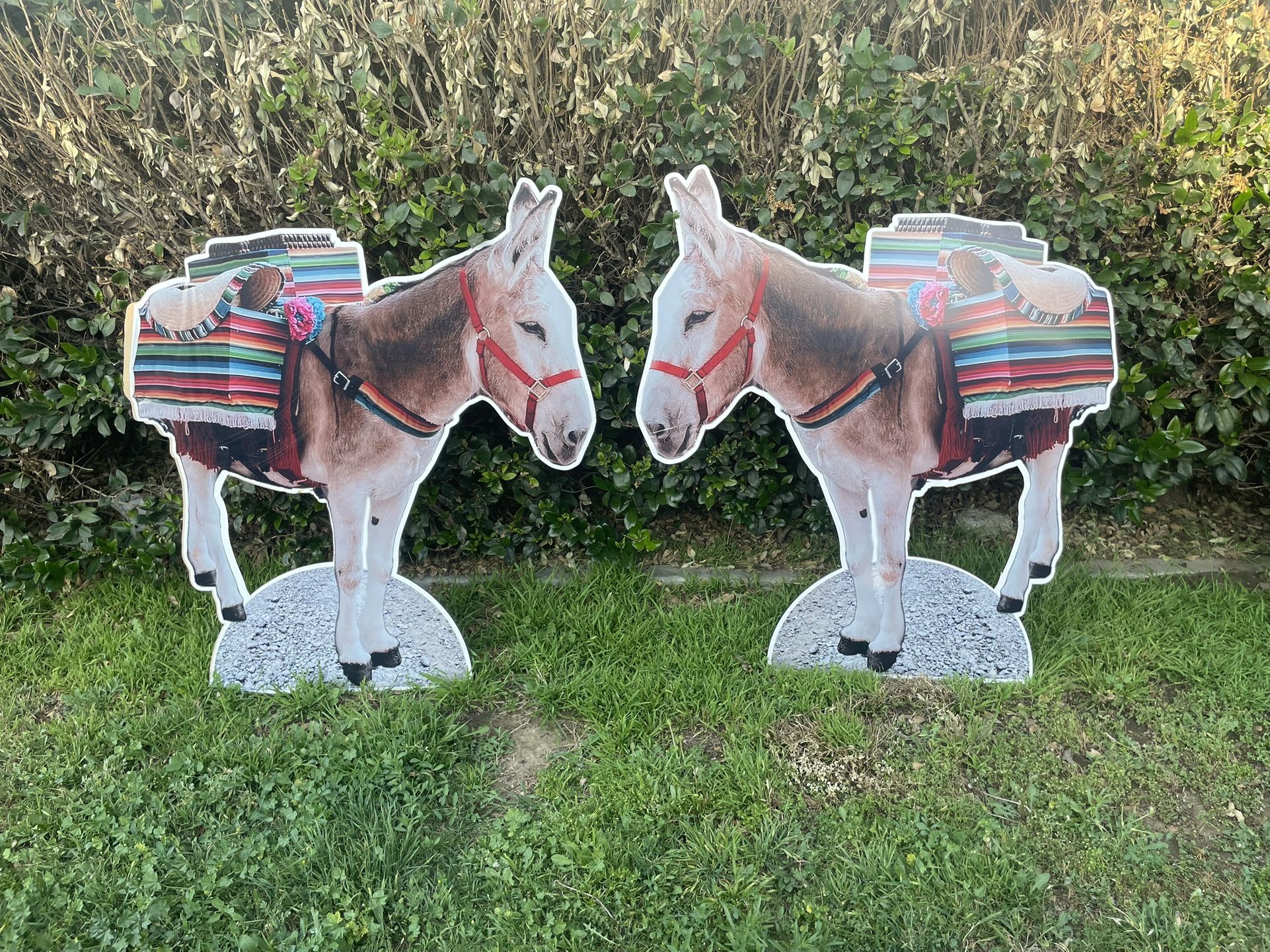 Mexican Theme Donkeys Backdrop Deco.