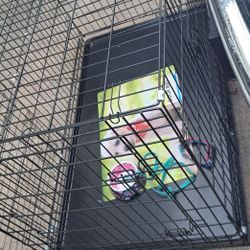 Dog  Cage