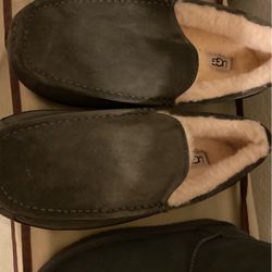 Uggs For Men