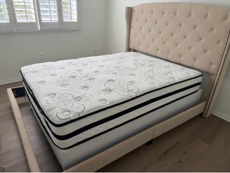 Clean twin bed with box spring and frame