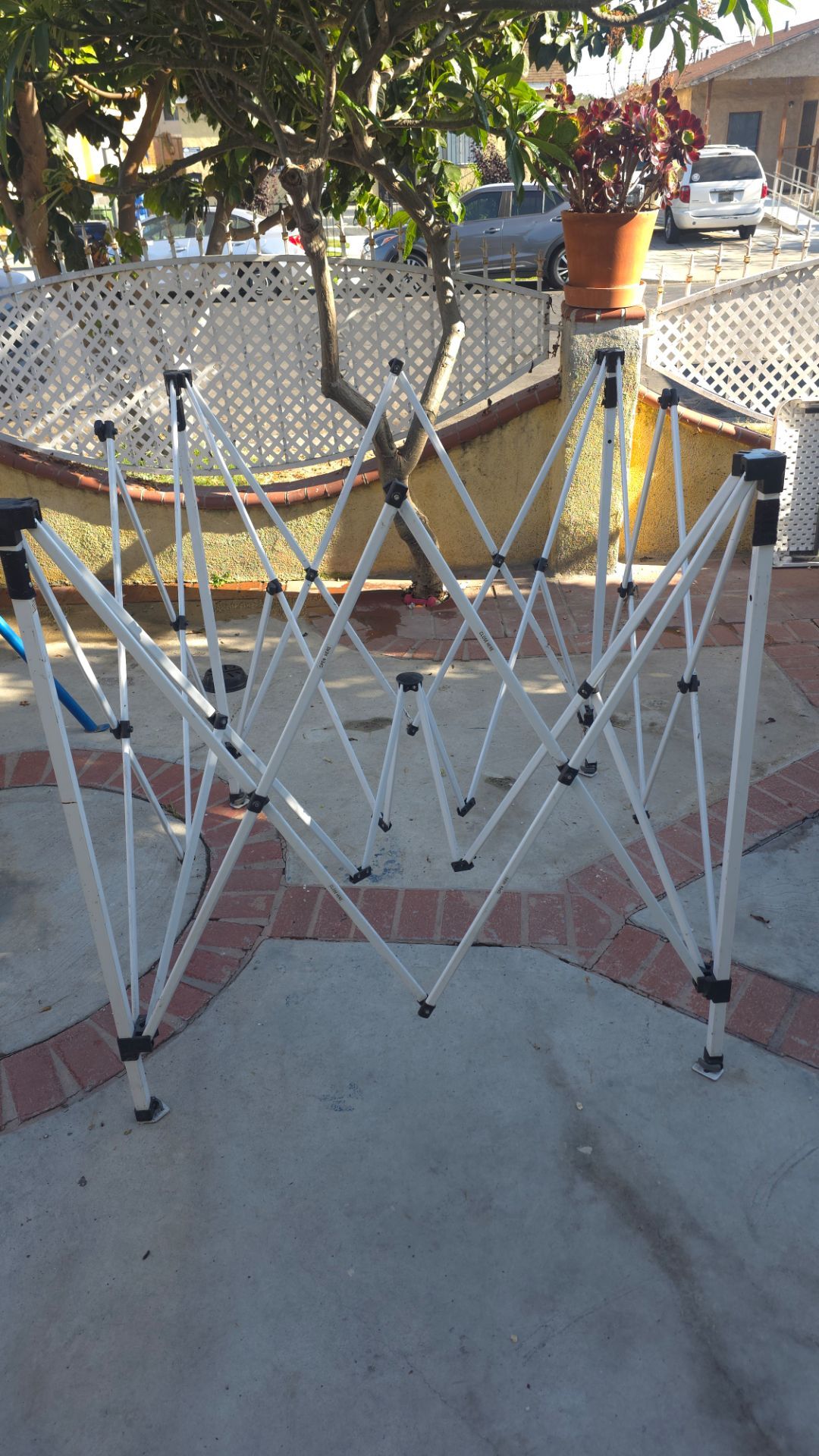 Canopy 10x10