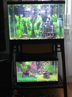 Aquarium 20 and 10 gal with stand. Heaters for inch aquarium,air pomp,decoration and fishes. $550 obo