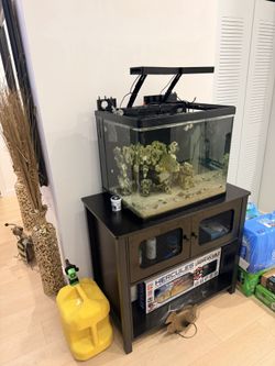 50 Gallon Fish Tank