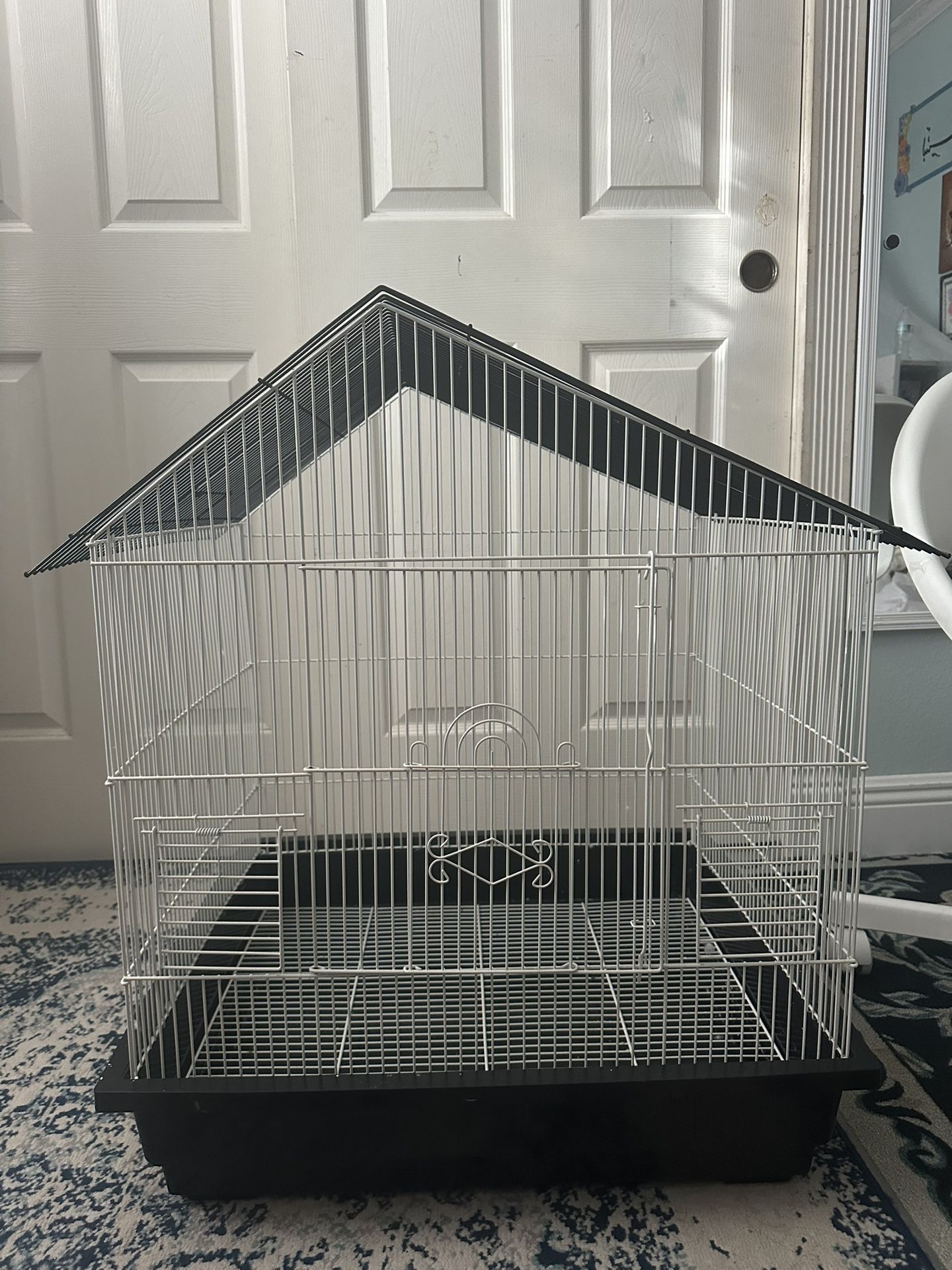 Bird Cage 