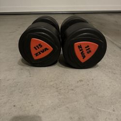 115 Dumbbells