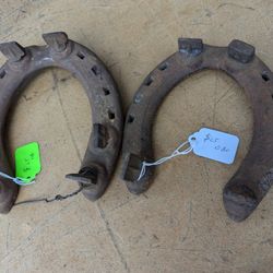 Online Catalog of Misc Items Available For Sale 