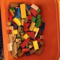 Wooden  & Mega Building Blocks 