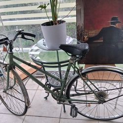 Vintage Elite Ladies Bicycle