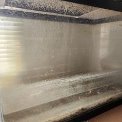 20 Gallon Aquarium 