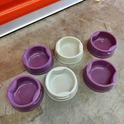 Dog Or Cat Bowls