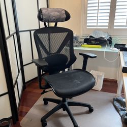 FlexFit Dexley Ergonomic Office Chair – Mesh, Good Condition