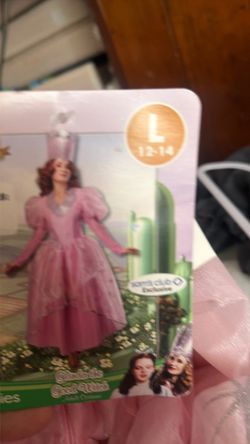 The wizard of oz dress
