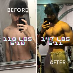 I WILL GET YOU SHREDDED IN 4 MONTHS