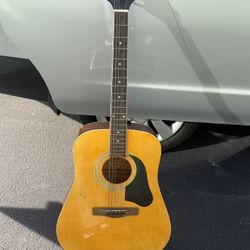 Silvertone Pro Series acoustic  pd2 guitar