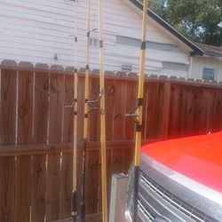 Mission pole S