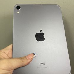 iPad Mini 6 Cellular 256 GB 