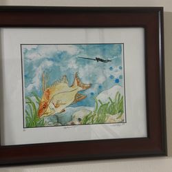 Hog Fish And Diver