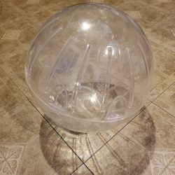 Hamster Ball