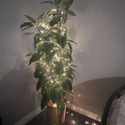 Fake Indoor Tree/Plant
