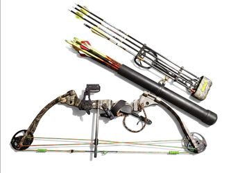 Compound Bow with Arrows and Quiver