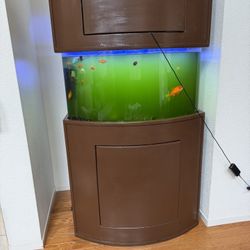 Fish Tank