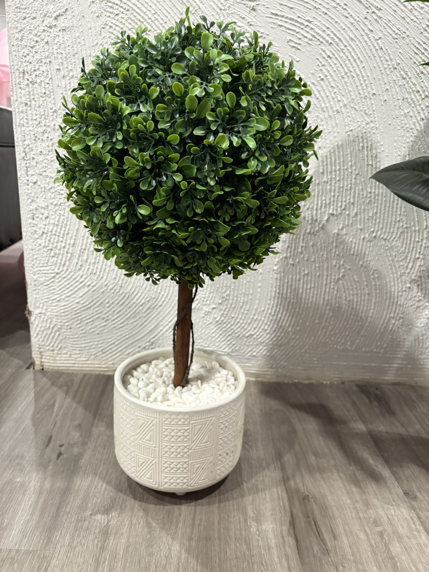 Faux boxwood Plant