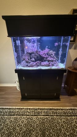 Saltwater Aquarium Full Setup 60 Gallons