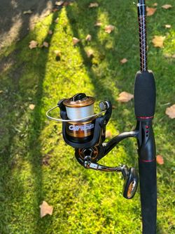 Freshwater Rod & Reel Combo