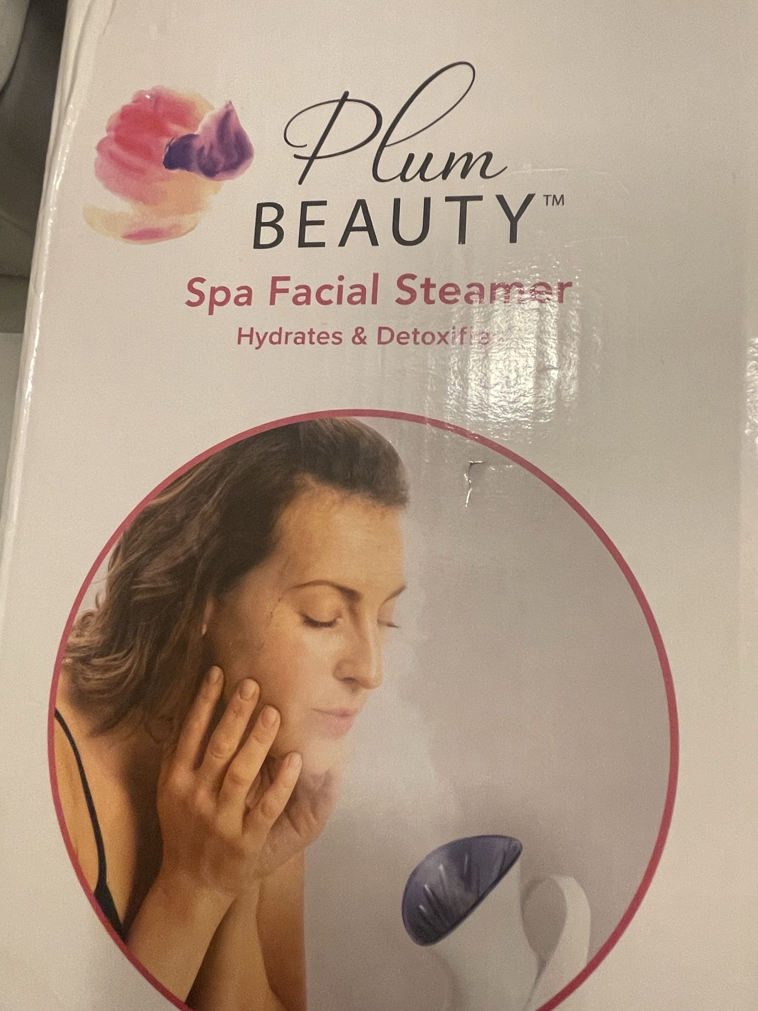 Spa Facial Steamer