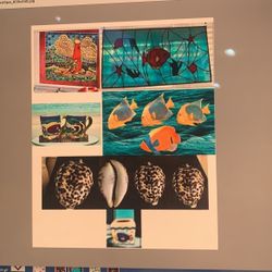 Ocean Decors Imported