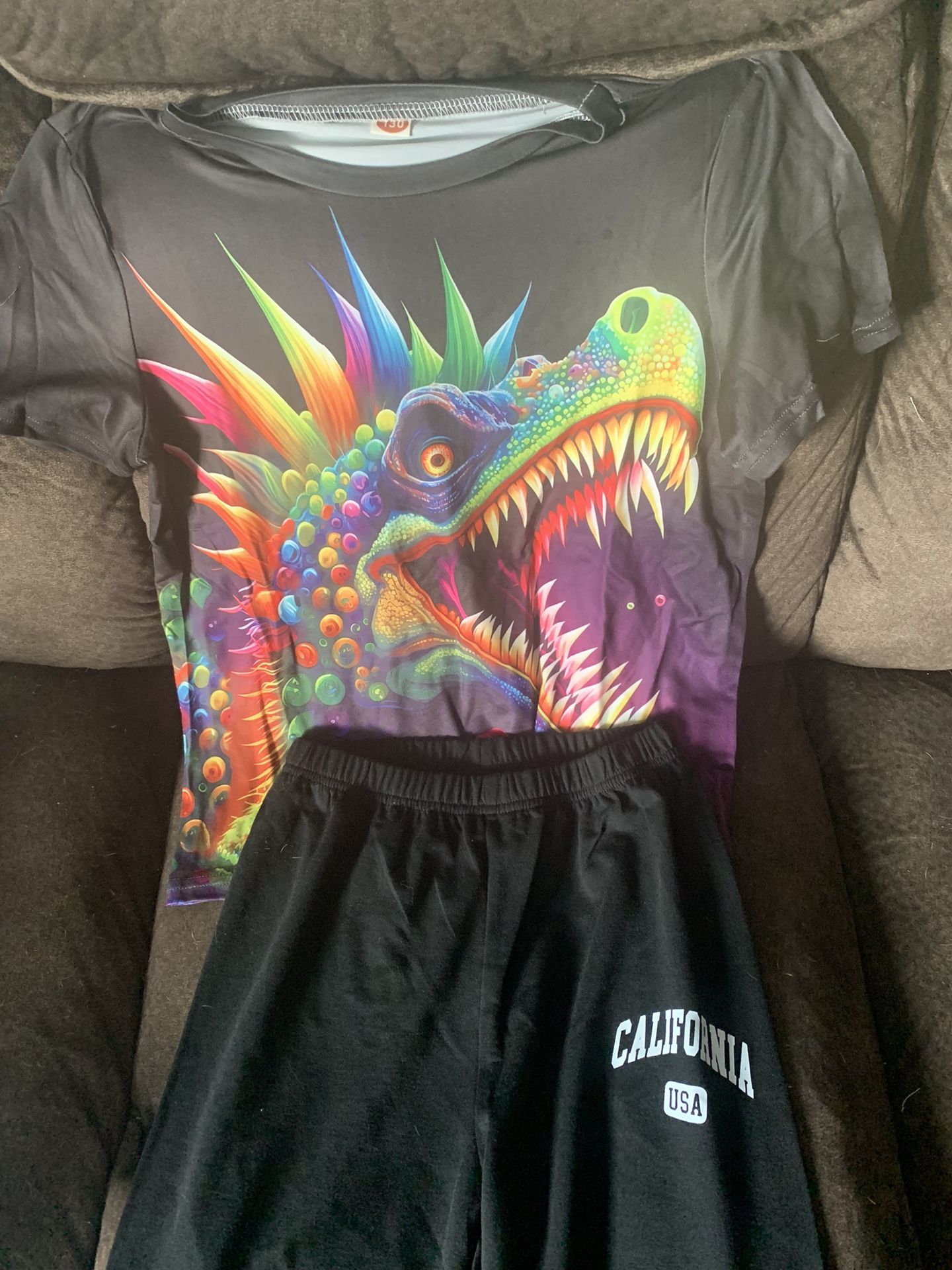 Black/purple Dinosaur Outfit