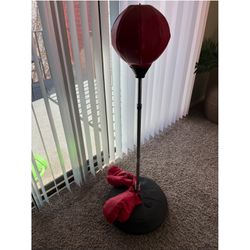 Punching Bag Set With Gloves 